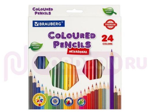 Карандаши цветные BRAUBERG PREMIUM, 24 цвета, шестигранные, грифель мягкий 3,3 мм