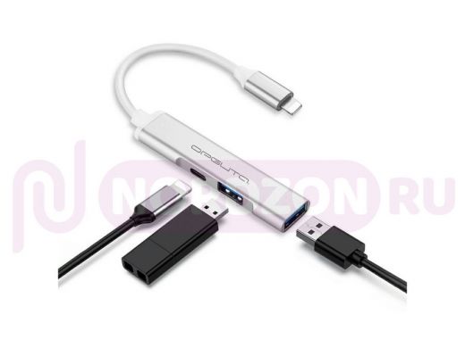 Орбита OT-PCR19 Серебро концентратор USB-Lightning (2*USB, 2*Lightning)
