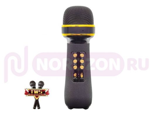 WSTER WS-898 Черный микрофон беспроводной (Bluetooth, динамики, USB)