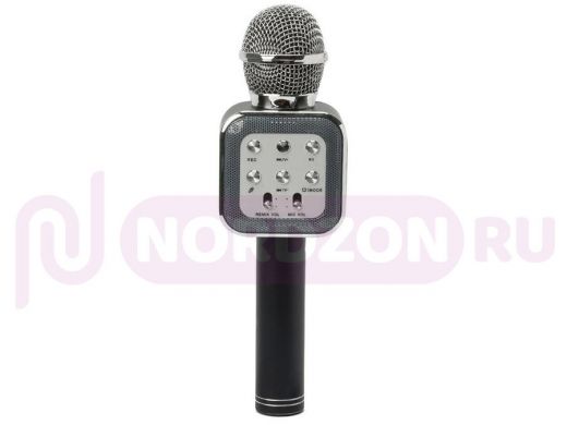 Микрофон караоке, Орбита WS-1818 беспроводной (Bluetooth, динамики, USB)/40