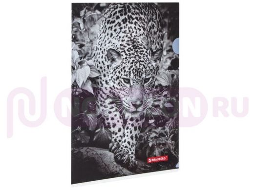 Папка-уголок BRAUBERG "Леопард", А4, 150 мкм, цветная печать