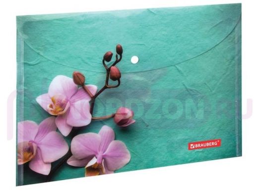 Папка-конверт с кнопкой BRAUBERG "Флора", А4, 160 мкм, до 100 листов, цветная печать