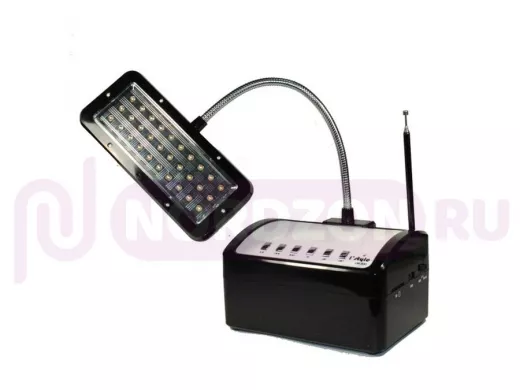 Радиоприемник I'STYLE LM300 + 