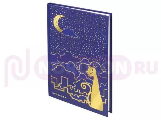 Блокнот 7БЦ А5 80л., фольга, кл. 