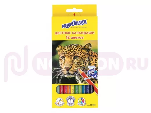 Карандаши цветные 