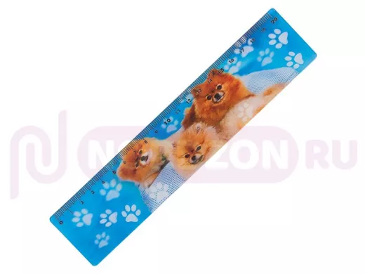 Линейка 3D 20 см 